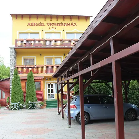 Abigel Vendeghaz *