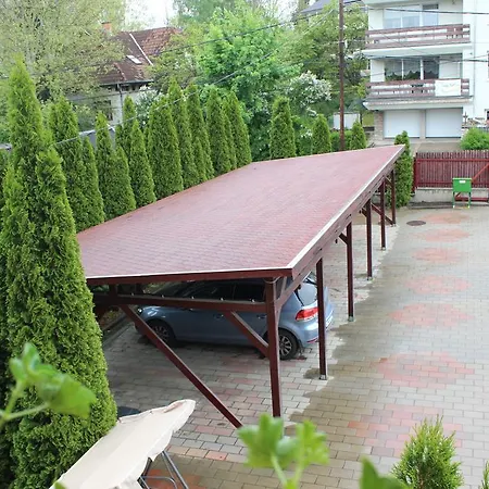 Abigel Vendeghaz