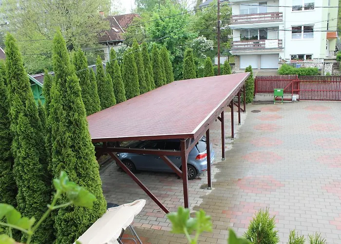 Abigel Vendeghaz